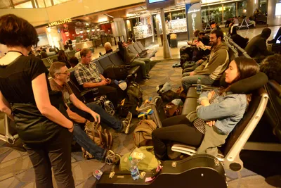 DSC_7427 (Large).JPG